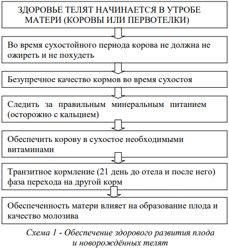Направленное выращивание животных