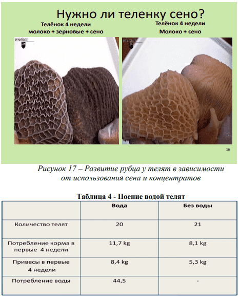 Направленное выращивание животных