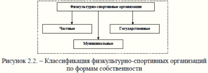 Классификация физкультурно-спортивных организаций по форме собственности
