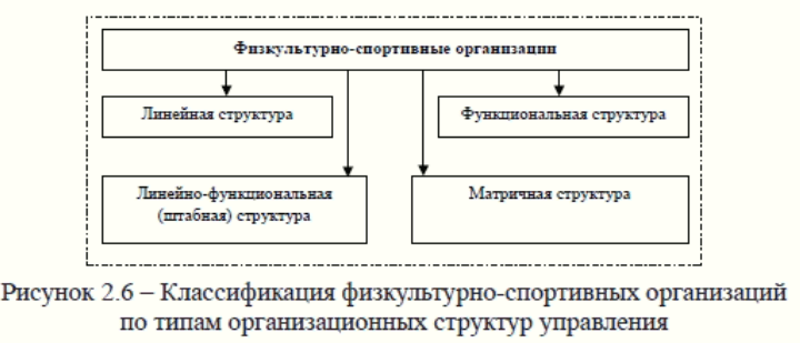 Классификация физкультурно-спортивных организаций по типам организационных структур управления