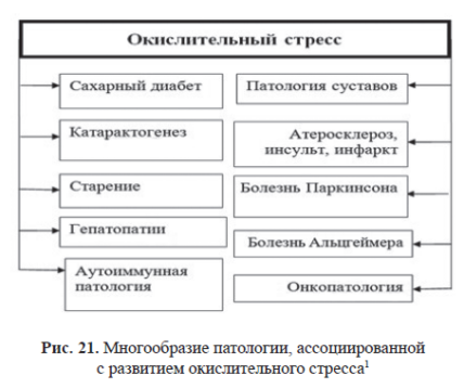 Окислительный стресс