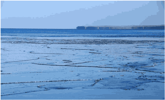 Молодой лёд