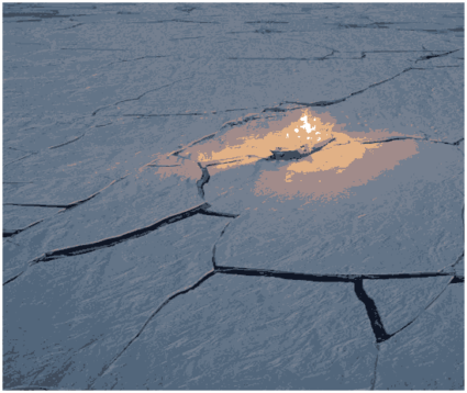 Однолетний лёд