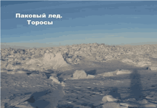 Паковый лёд