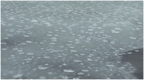 Ледяное сало