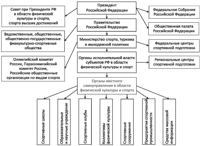 Современное состояние физической культуры и спорта