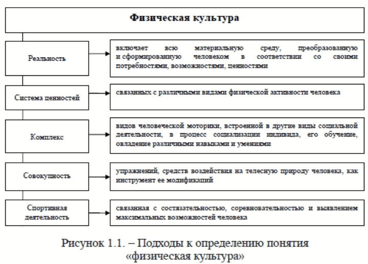 Понятия менеджмент в физической культуре и спорте и спортивный менеджмент