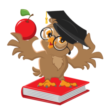 Виды практики студента и их характеристика:...