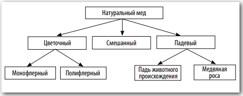 Классификация натурального меда